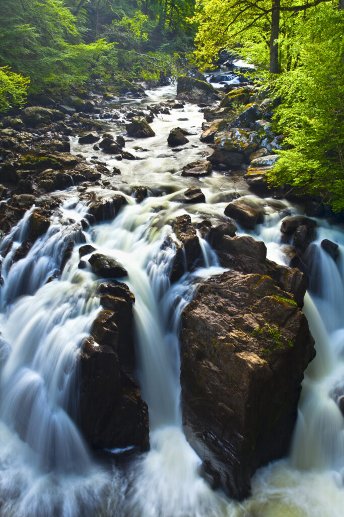 Scotland, Perth and Kinross, The Hermitage (National Trust for Scotland). The Black Linn Falls, A waterfall along the course of the River Braan in Craigvinean Forest.