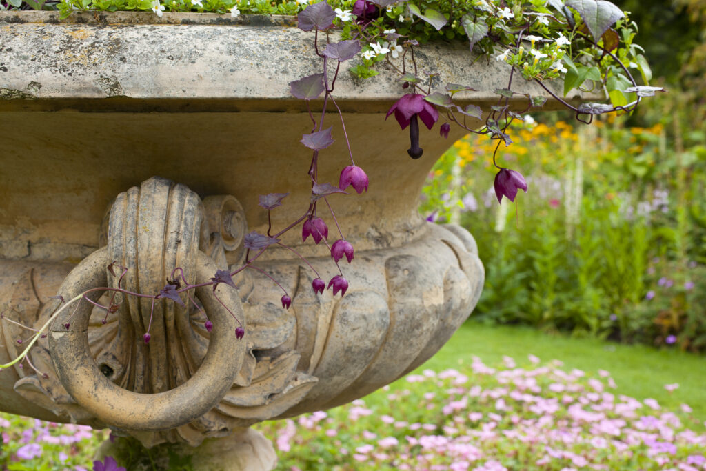 England, Northumberland, Wallington Hall Walled Garden. Stone flower pot with flower arrangement in the Wallington Walled Garden - A National Trust Property.