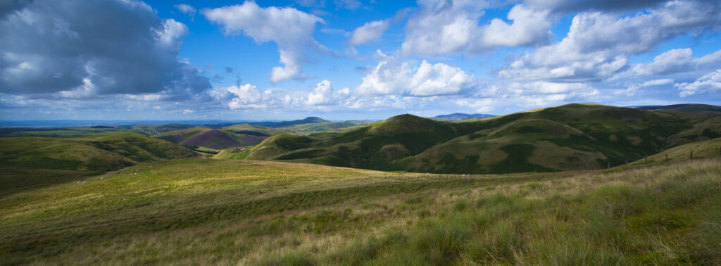 Scotland, Scottish Borders, English Border / Northumberland National Park. Looking towards Lamb Hill and the Northumberland Cheviot Hills in England from the Scottish Border.