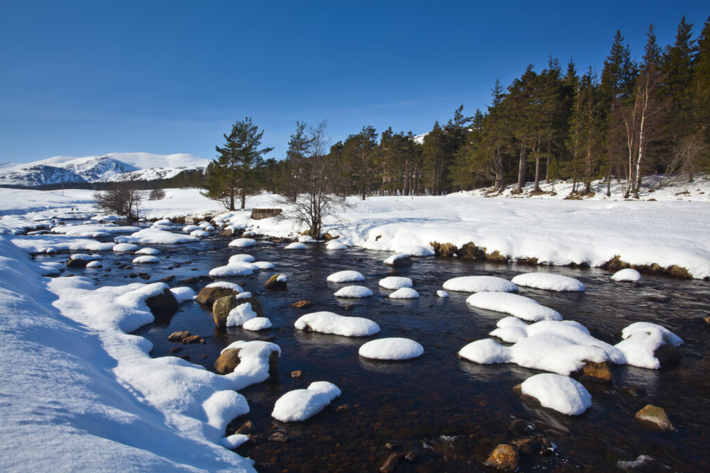 Scotland, Scottish Highlands, Cairngorms National Park. The snow covered River Muick running near a forest plantation in Glen Muick near Ballater.