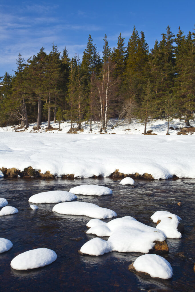 Scotland, Scottish Highlands, Cairngorms National Park. The snow covered River Muick running near a forest plantation in Glen Muick near Ballater.