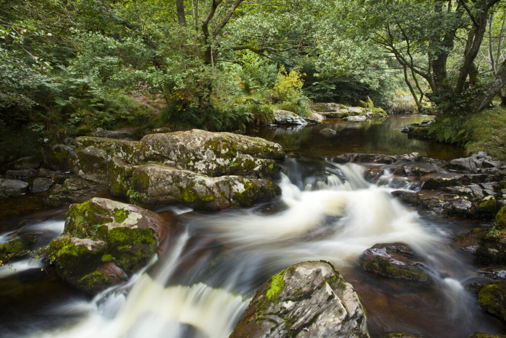 England, Cumbria, Lake District National Park. Aira Beck above Aira Force, a powerful body of water near the shores of Ullswater.