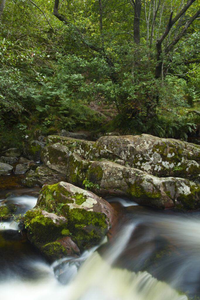 England, Cumbria, Lake District National Park. Aira Beck above Aira Force, a powerful body of water near the shores of Ullswater.