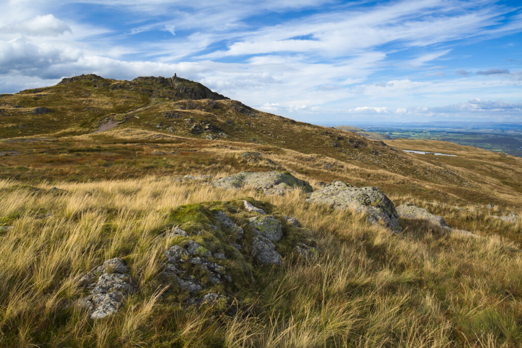 England, Cumbria, Lake District National Park. Place Fell on Patterdale Common in the North-Eastern Lake District near Ullswater.