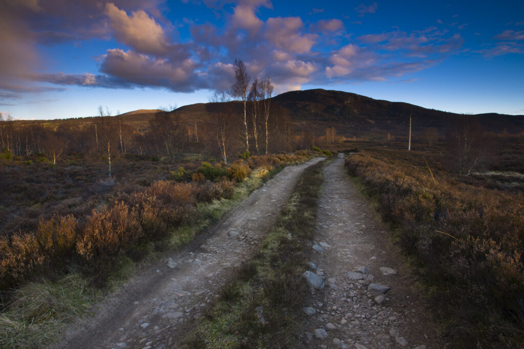 Scotland, Scottish Highlands, Cairngorms National Park. Vehicle track running through open moorland near the Abernethy Forest.