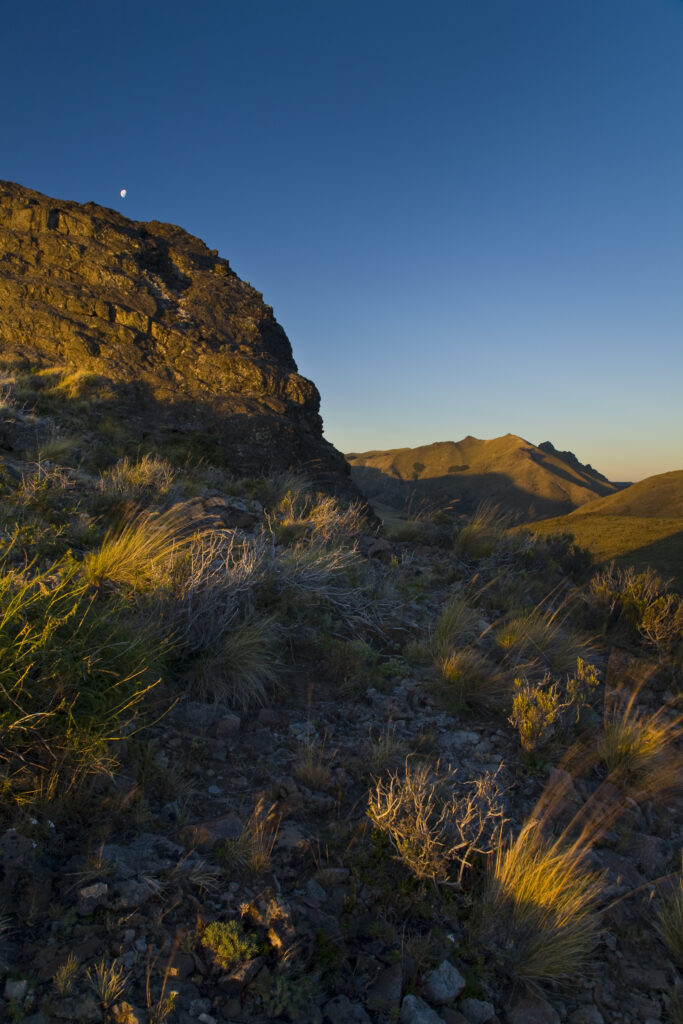 Argentina, The Lake District, Parque Nacional Nahuel Huapi. Golden light illuminates the features of the Patagonian Steppe to be found near Bariloche.