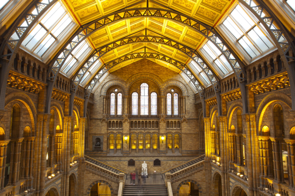 England, London, The Royal Borough of Kensington and Chelsea, Natural History Museum. The impressive architecture of the main hall of the Natural History Museum, London.