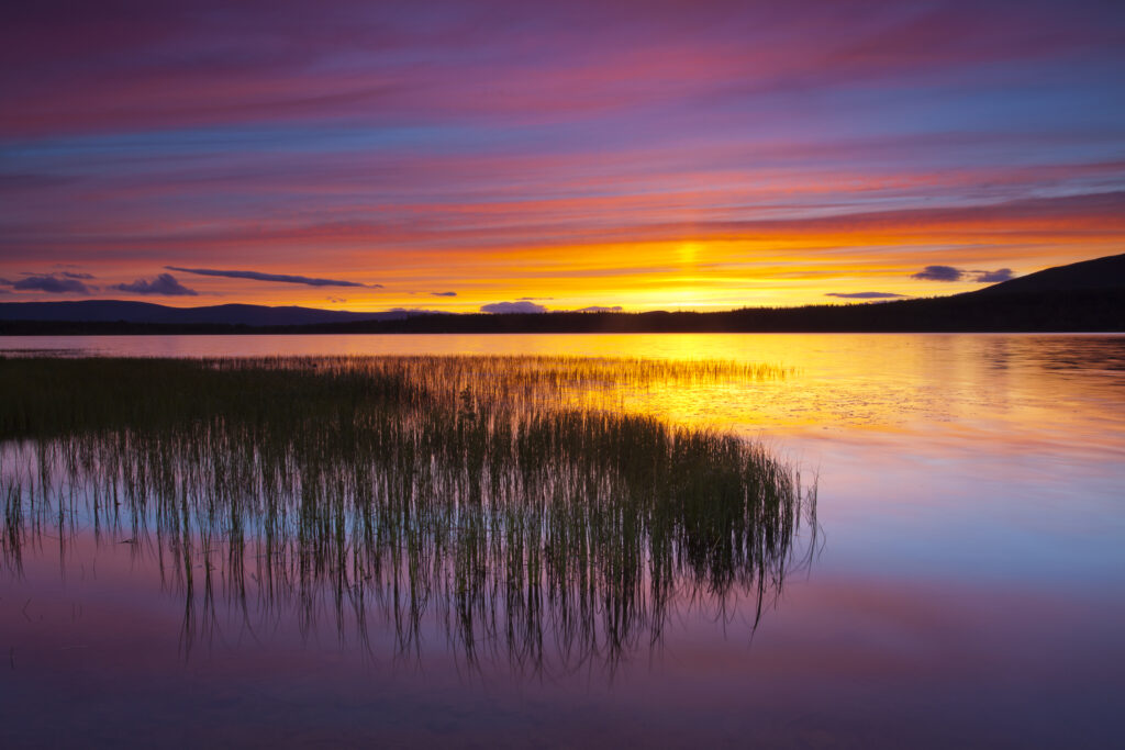 Scotland, Scottish Highlands, Cairngorms National Park. Summer sunset over Loch Morlich near Aviemore.