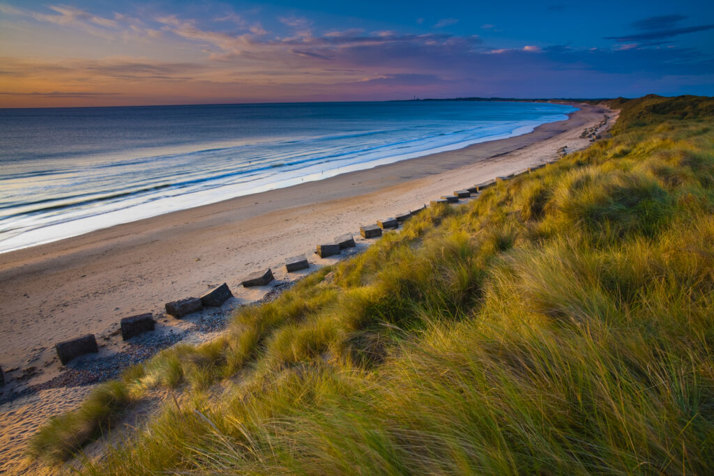 England, Northumberland, Druridge Bay. A dramatic expanse of sand dunes fringing the picturesque beach at Druridge Bay, viwed shortly after sunrise.