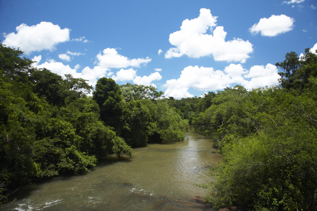 Argentina, Misiones, Iguazu National Park. River and jungle near the Iguazu waterfalls - A world heritage site.