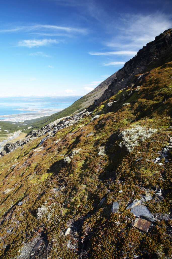 Argentina, Tierra Del Fuego, Ushuaia. Looking back towards Ushuaia from the mountain peaks near Glaciar Martial.