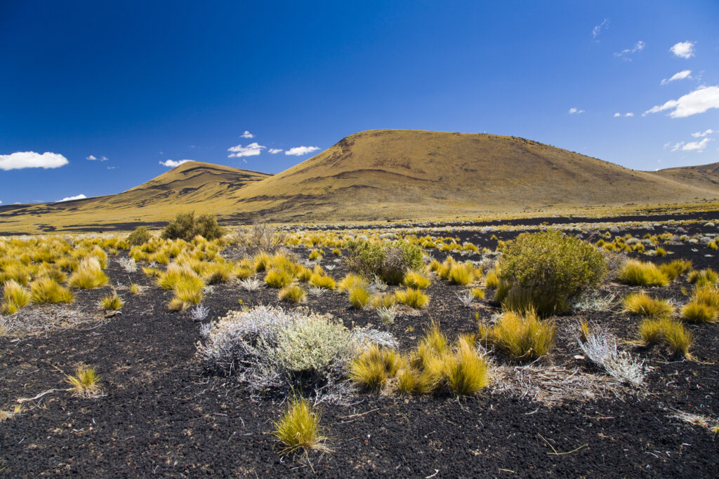 Argentina, Mendoza, Parque Provincial Payunia. The barren volcanic landscape of the reserve.