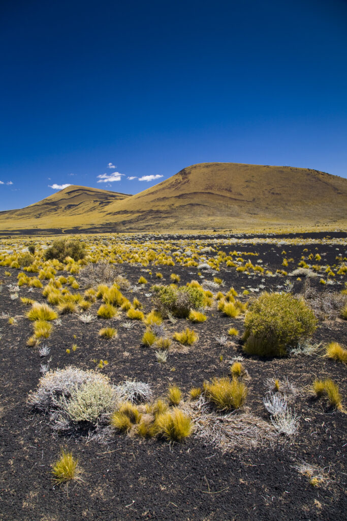 Argentina, Mendoza, Parque Provincial Payunia. The barren volcanic landscape of the reserve.