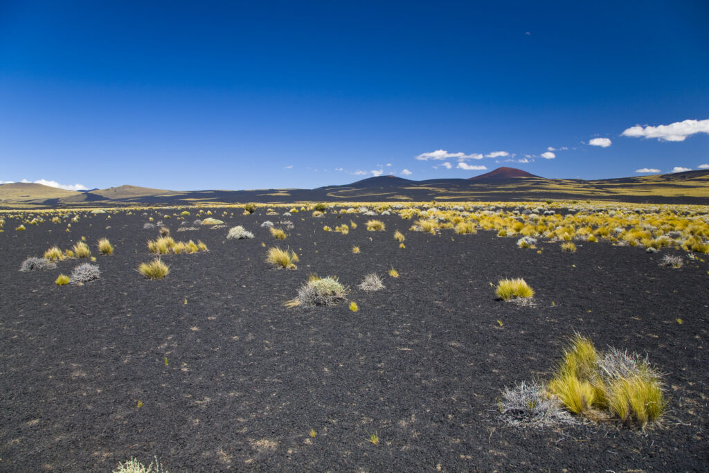 RF - Argentina, Mendoza, Parque Provincial Payunia. The barren volcanic landscape of the reserve.