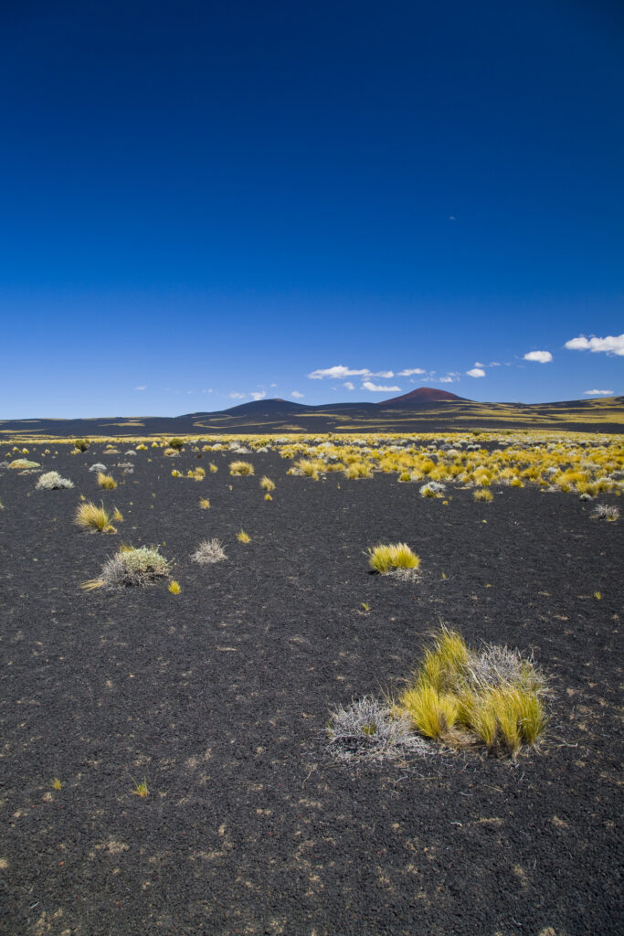 RF - Argentina, Mendoza, Parque Provincial Payunia. The barren volcanic landscape of the reserve.