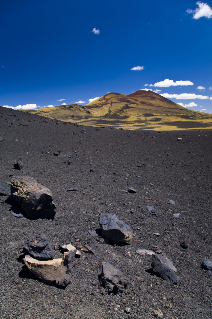 Argentina, Mendoza, Parque Provincial Payunia. The barren volcanic landscape of the reserve.