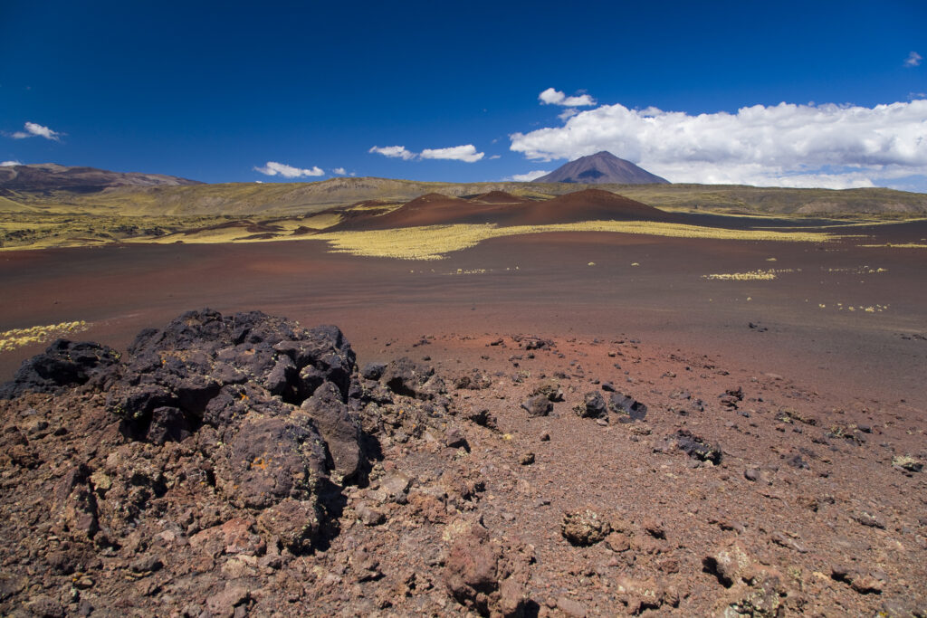 Argentina, Mendoza, Parque Provincial Payunia. The barren volcanic landscape of the reserve.