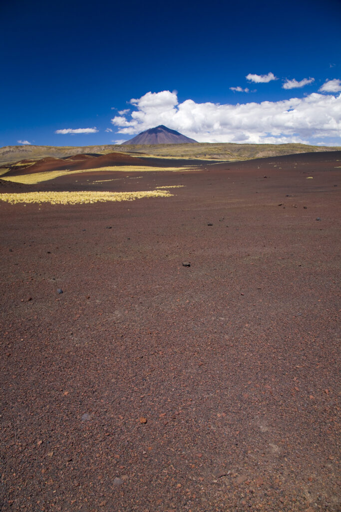 Argentina, Mendoza, Parque Provincial Payunia. The barren volcanic landscape of the reserve.