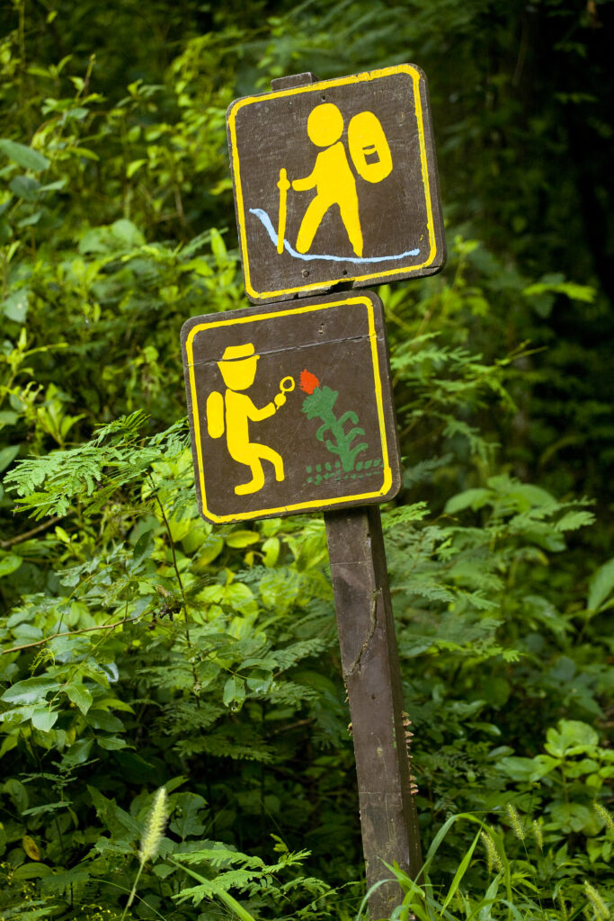 Argentina, Salta, Parque Nacional Calilegua. Hiking route - tropical plant trail sign within the National Park.