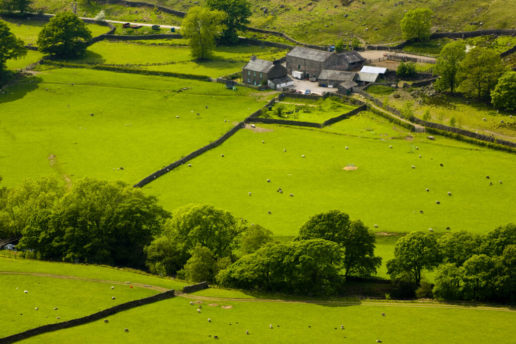 England, Cumbria, Lake District National Park. Farm and agricultural land in Eskdale, Western Lake District.