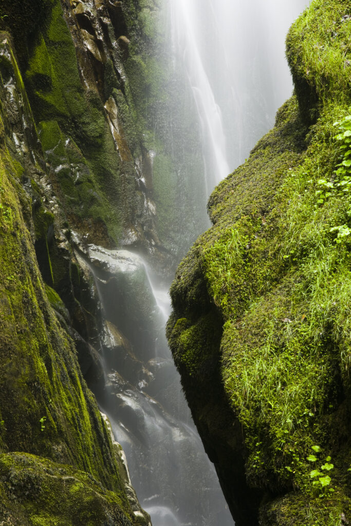 England, Cumbria, Lake District National Park. Aira Force is a powerful body of water near the shores of Ullswater. A circular walk follows both sides of the falls with a picturesque stone bridge providing the means to cross the 70ft dramatic drop of the water.