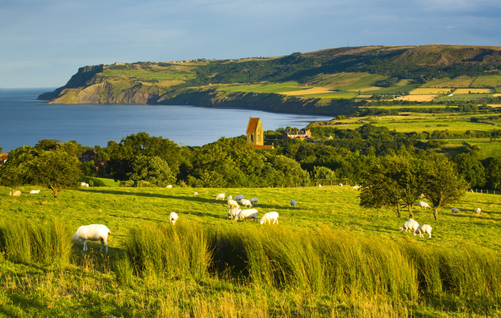 England, North Yorkshire, North York Moors National Park. The scenic Robin Hood's Bay, a popular tourist destination and the end point of the 'Coast to Coast' walk.