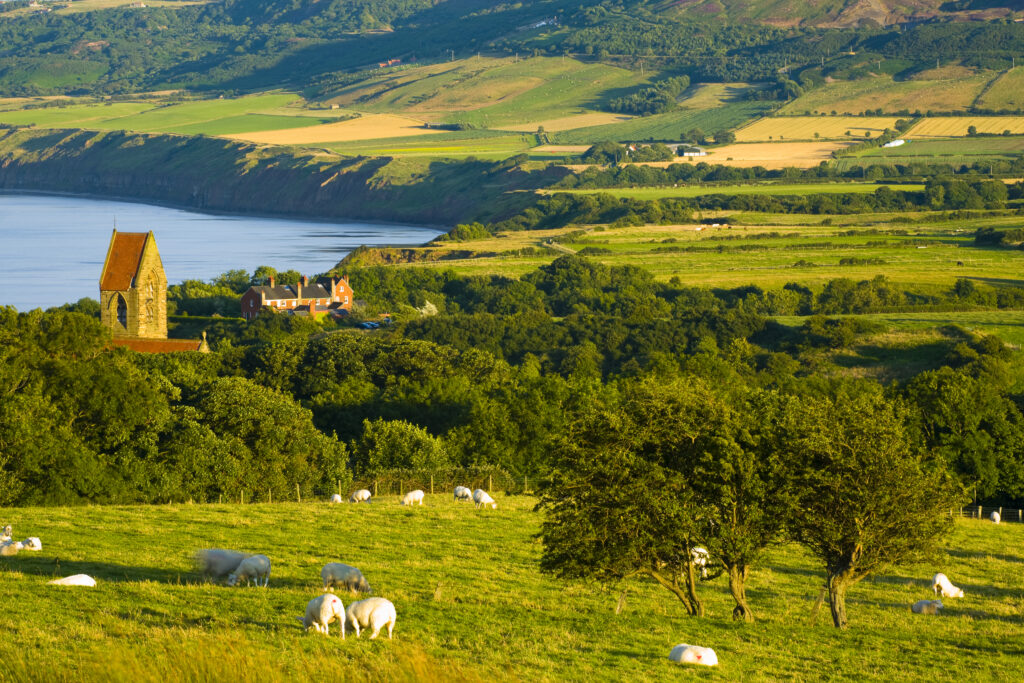 England, North Yorkshire, North York Moors National Park. The scenic Robin Hood's Bay, a popular tourist destination and the end point of the 'Coast to Coast' walk.