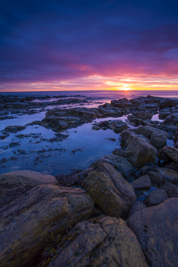 England, Tyne and Wear, Tynemouth. Sunrise over King Edward's Bay viewed from near Sharpness Point.