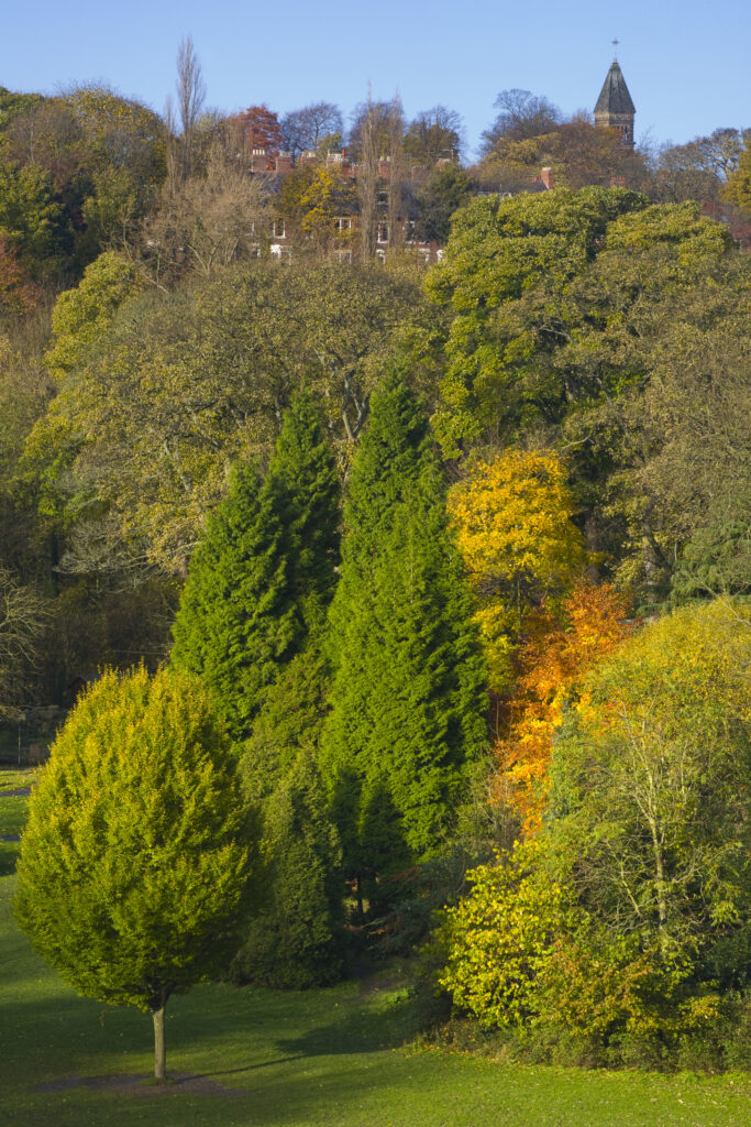 England, Tyne & Wear, Newcastle Upon Tyne. View looking from the Armstrong Bridge towards Jesmond Dene.
