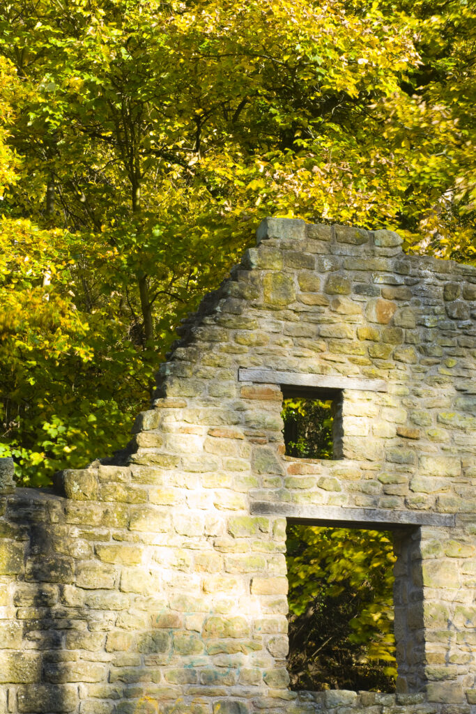 Mabel's Mill, a water corn mill of the Ridleys, existed here by 1739. From circa. 1848 called Heaton Mill. A flint mill from mid to late 19th Century. Acquired by Lord Armstrong in 1862.