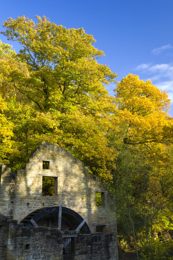 England, Tyne & Wear, Jesmond Dene. Named Heaton Mill in 1848 although originally a water corn mill called Mabel's Mill since 1739, this structure is now simply known as 'The Mill'.