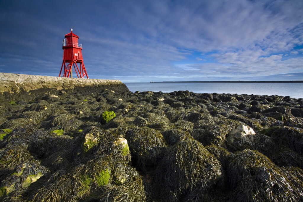 England, Tyne & Wear, South Shields. Little Haven Beach, looking towards the South Groyne Lighthouse.