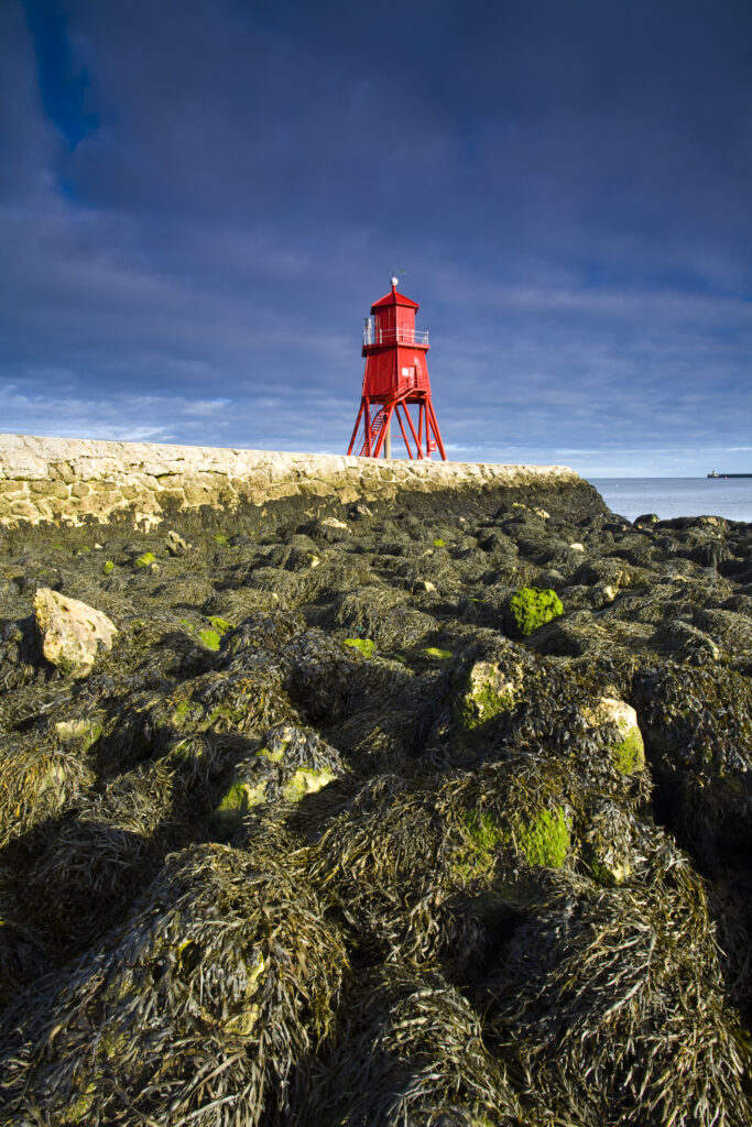 England, Tyne & Wear, South Shields. Little Haven Beach, looking towards the South Groyne Lighthouse.