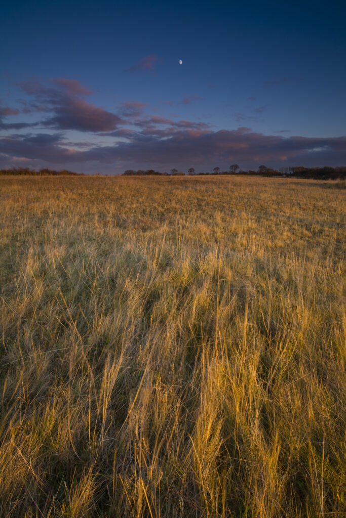 England, Tyne & Wear, Killingworth. The last rays of the setting sun paint a colourful scene across Killingworth Moor.