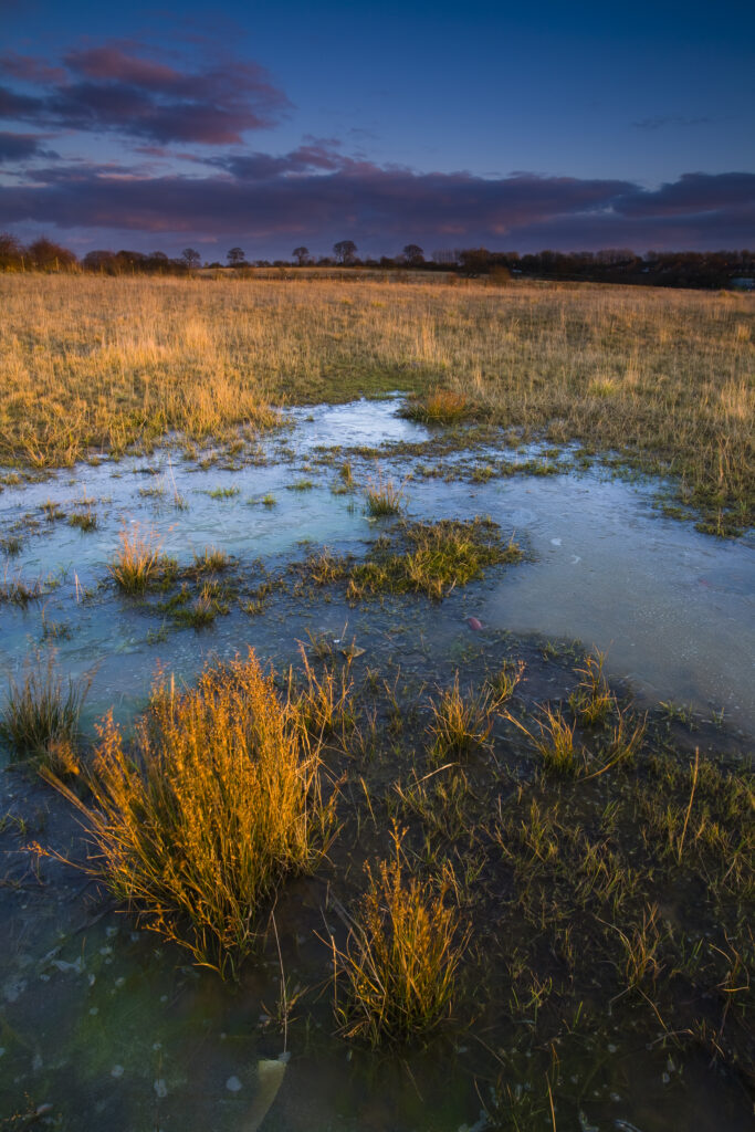 England, Tyne & Wear, Killingworth. The last rays of the setting sun paint a colourful scene across Killingworth Moor.