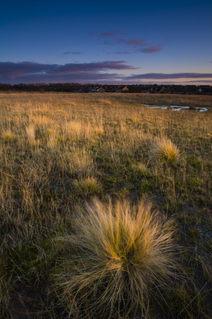 England, Tyne & Wear, Killingworth. The last rays of the setting sun paint a colourful scene across Killingworth Moor.