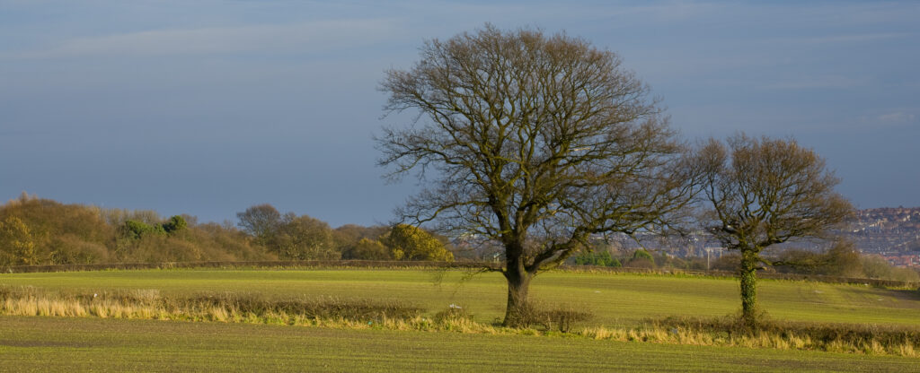 England, Tyne & Wear, Gateshead. Agricultural land in South Tyneside looking towards the city of Gateshead.