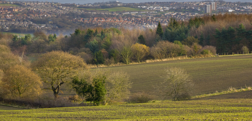 England, Tyne & Wear, Gateshead. Agricultural land in South Tyneside looking towards the city of Gateshead.