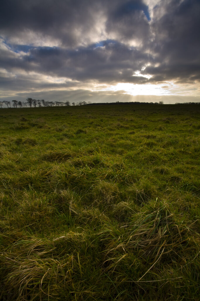 England, Tyne & Wear, Newcastle Upon Tyne. Nuns Moor, a popular area of common land near the city centre.