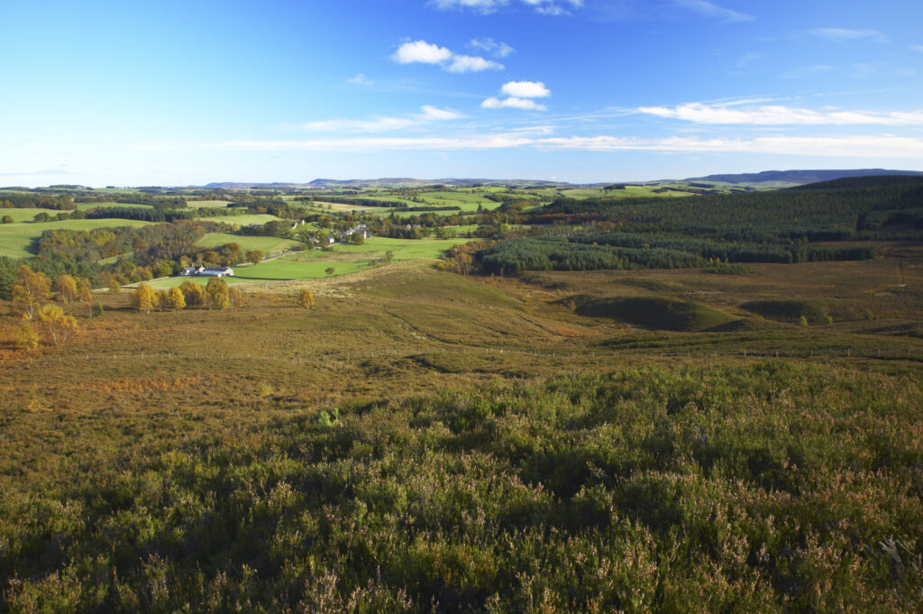 England, Northumberland, Northumberland National Park. View looking from Harbottle Crags Nature Reserve (Northumberland Wildlife Trust) towards Harbottle and Coquetdale.