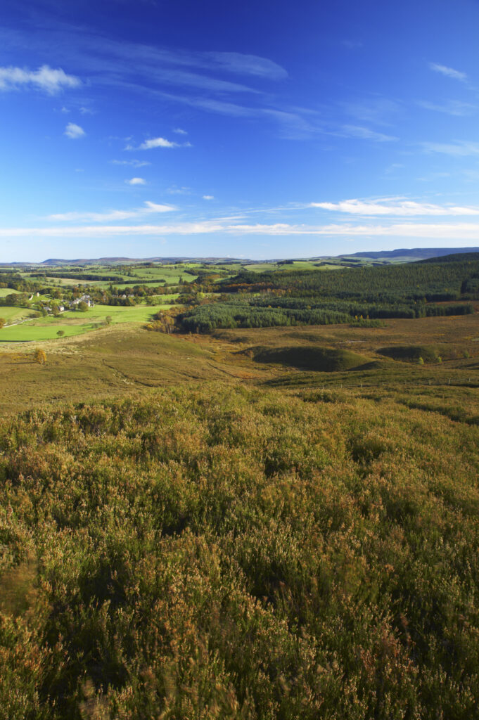 England, Northumberland, Northumberland National Park. View looking from Harbottle Crags Nature Reserve (Northumberland Wildlife Trust) towards Harbottle and Coquetdale.