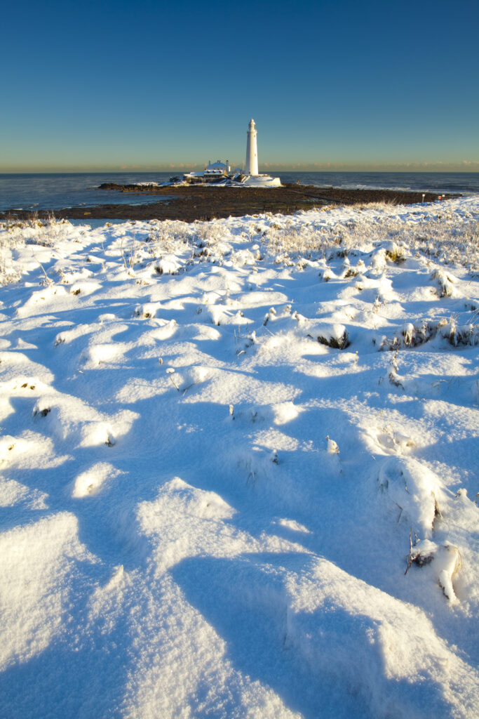 England, Tyne and Wear, St Mary's Island and Lighthouse. Snow covered Tussock grass on the North Tyneside coast near the city of Newcastle Upon Tyne.
