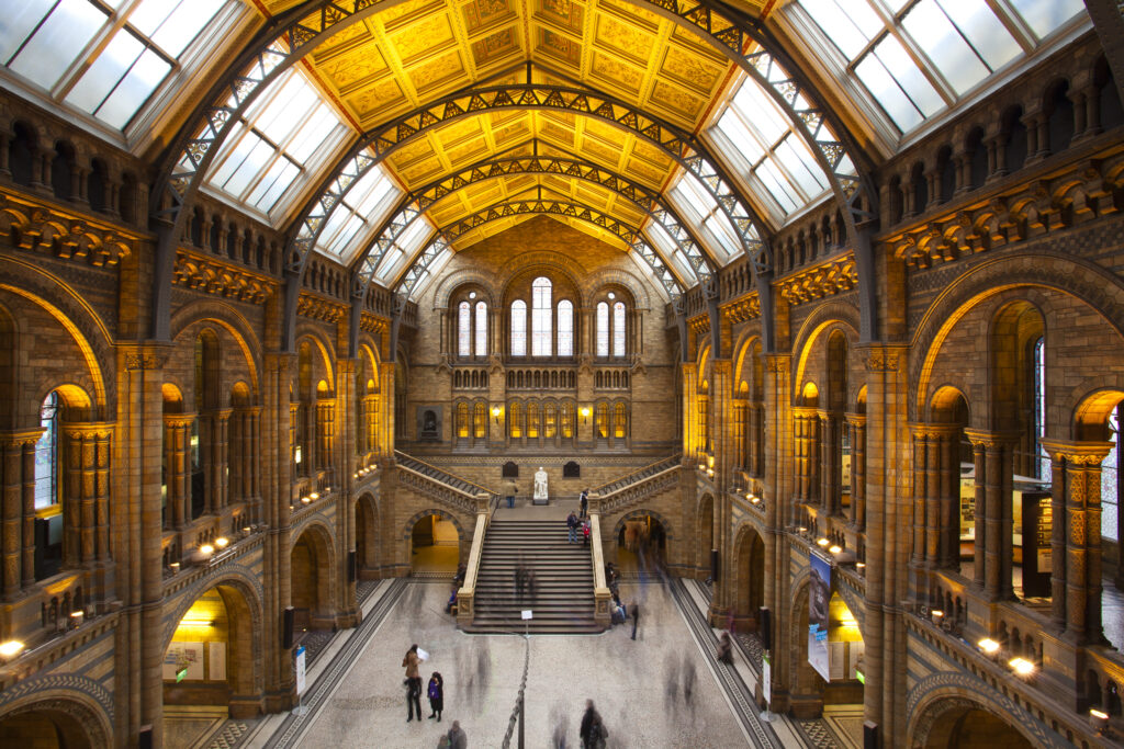 England, London, The Royal Borough of Kensington and Chelsea, Natural History Museum. The impressive architecture of the main hall of the Natural History Museum, London.
