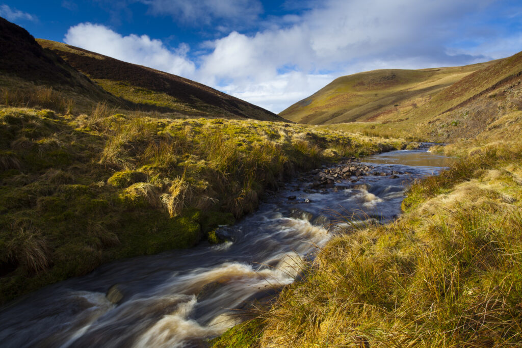 England, Northumberland, Northumberland National Park. Buckhams's Walls Burn, a mountain stream running from the Cheviot Hills to the River Coquet in the valley of Coquetdale.