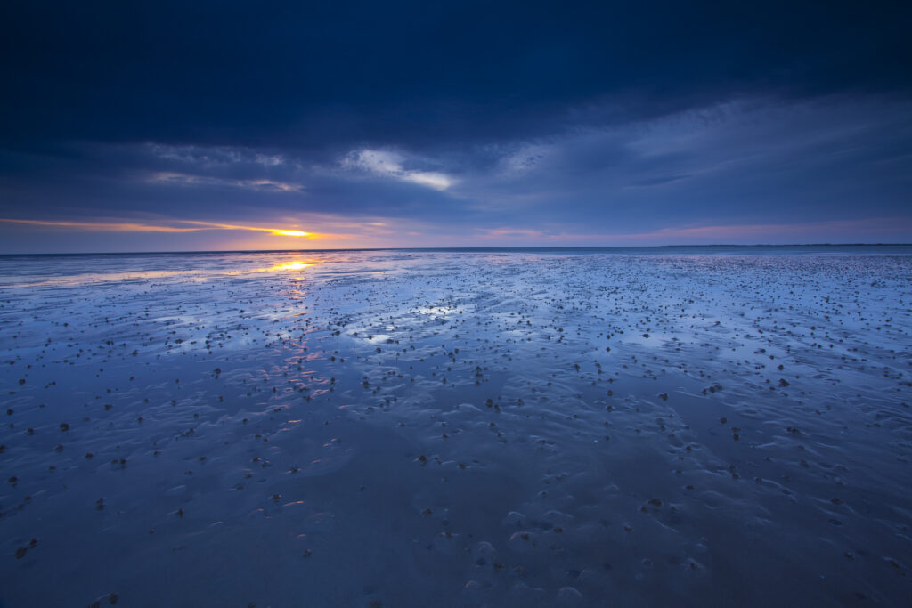 England, Northumberland, Goswell Sands. The blue hues of dawn reflected on the sandy expanse of the beach at Goswell Sands along the Northumberland Heritage Coast.