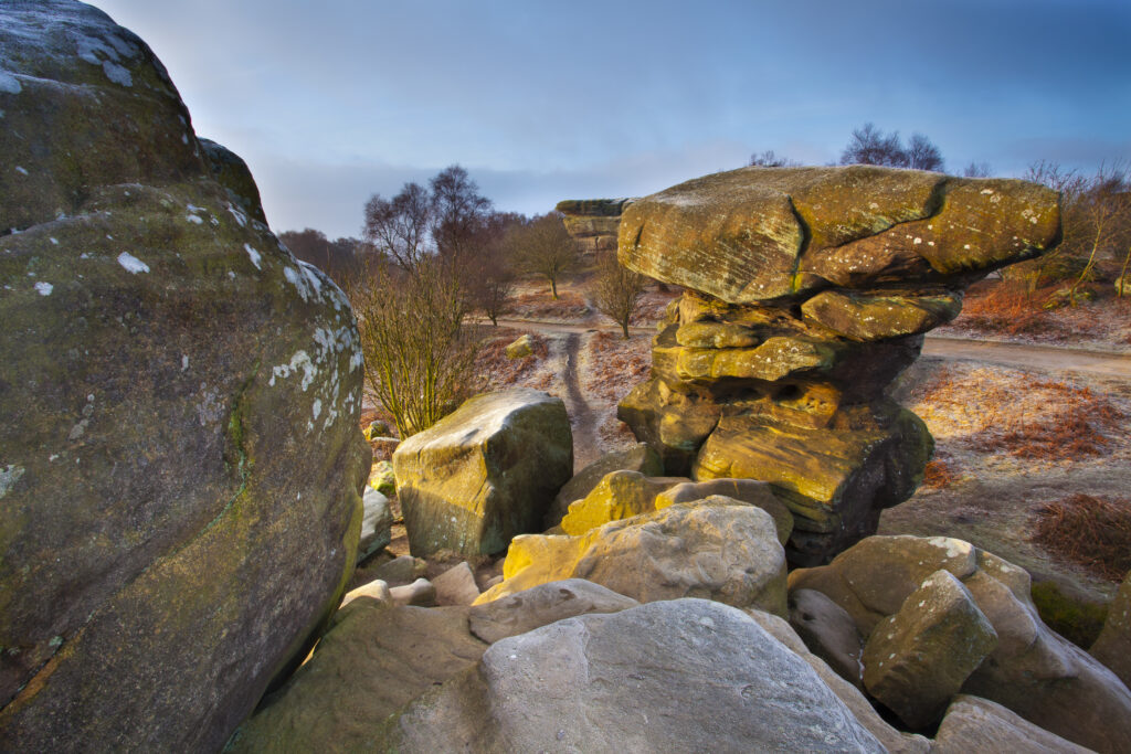 England, North Yorkshire, Brimham Rocks. Unique Rock formations of Brimham Rocks at Brimham in Nidderdale, found scattered over the wild expanse of Brimham Moor.