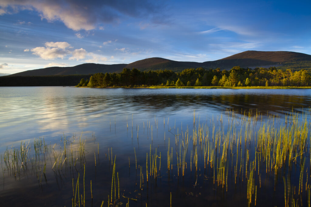 Scotland, Scottish Highlands, Cairngorms National Park. Loch Morlich near Aviemore on a summers day.