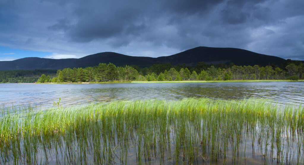 Scotland, Scottish Highlands, Cairngorms National Park. Loch Morlich near Aviemore on a summers day.