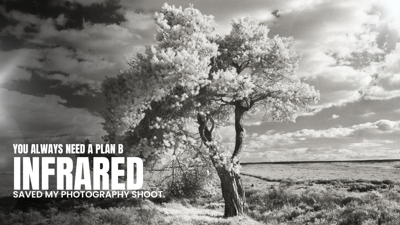 When Plan A Fails: How Infrared Photography Saved My Heather Shoot in the North York Moors