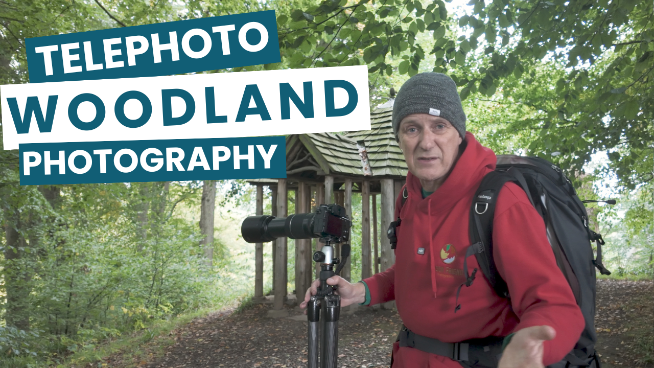 Why I Struggle With Telephoto Lenses (And Why That’s OK)